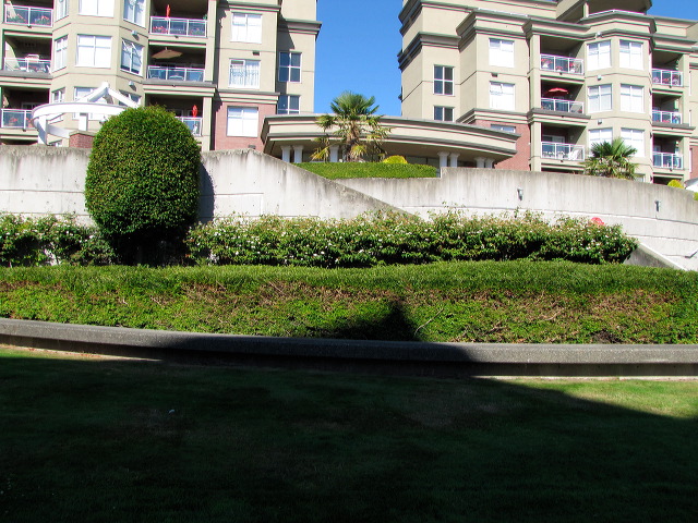 img_2011_11044.jpg