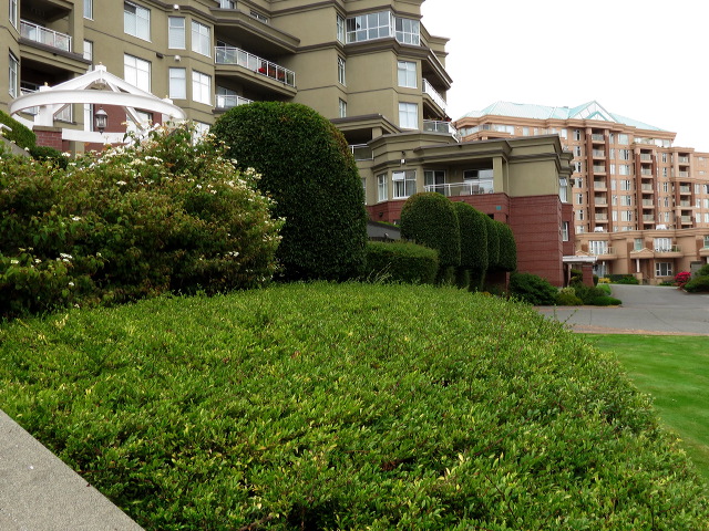 img_2013_8304.jpg