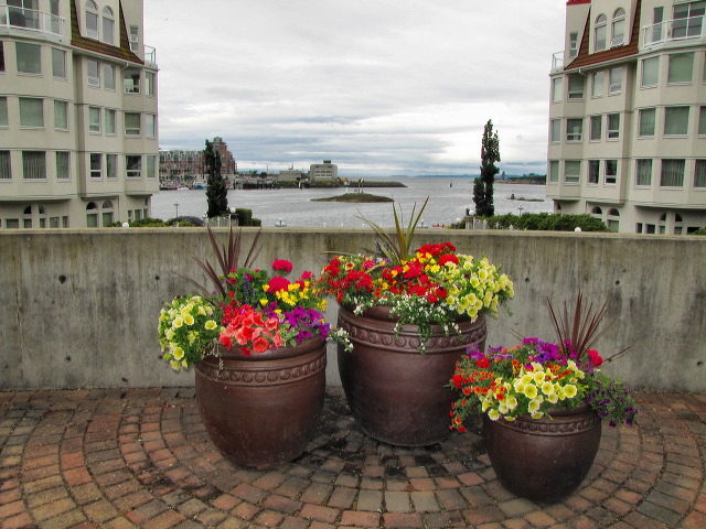img_2011_10152.jpg