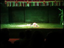 img_2016_9339