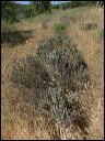 img_2018_4199