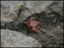 img_2022_3341-3349
