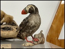 img_2022_3600