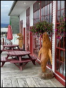 img_2022_3168