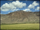 img_2025_1815