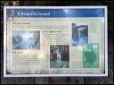 img_2025_2274b