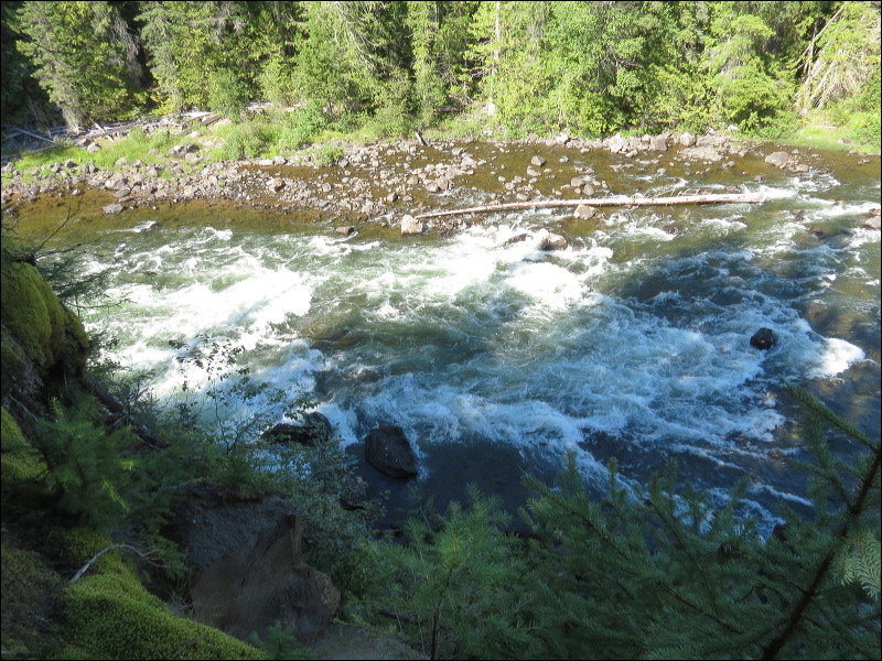 img_2025_2217.jpg
