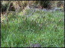 img_2026_island-hop_2671826