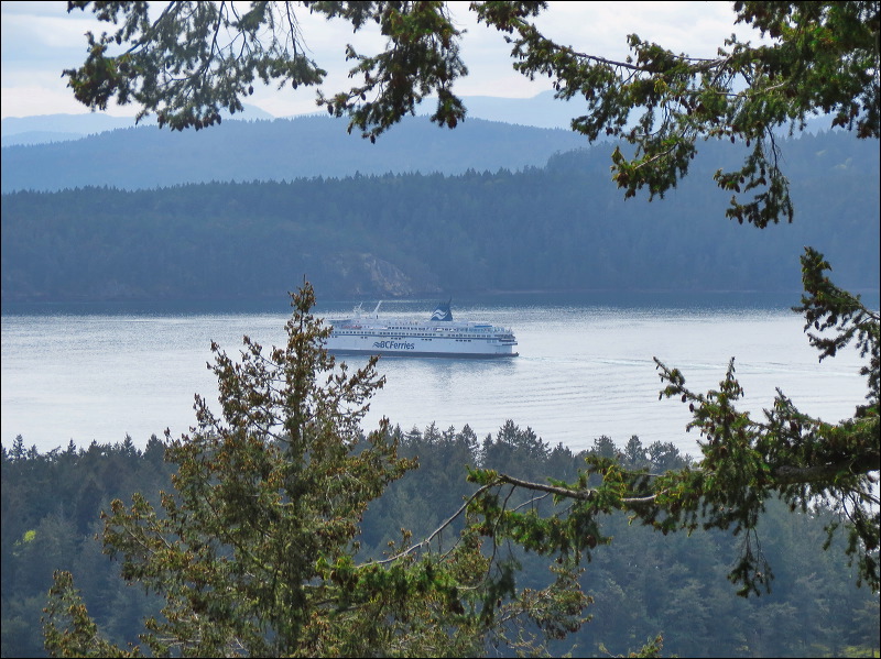img_2026_island-hop_26cdc58.jpg