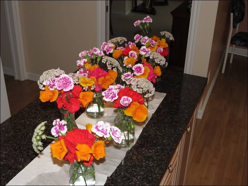img_2012_3916.jpg