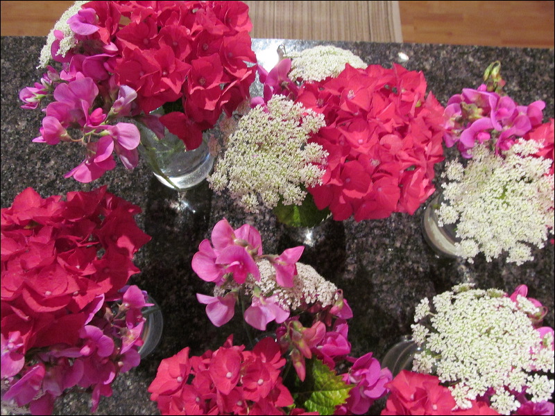 img_2013_6796.jpg