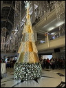 img_2023_4248