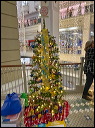 img_2023_4260