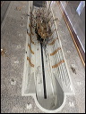 img_2024_4919