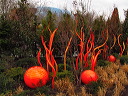 img_2013_0283