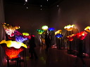 img_2013_0293
