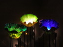 img_2013_0298