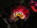 img_2013_0301