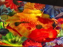 img_2013_0352