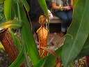 img_2013_0844