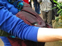 img_2013_0853