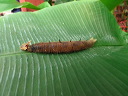 img_2013_0856