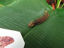 img_2013_0863
