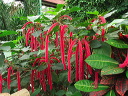 img_2013_0881