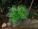 img_2013_0887