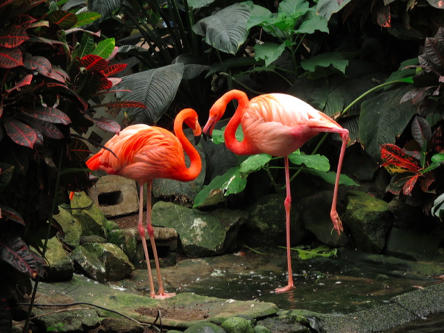 img_2013_0812.jpg