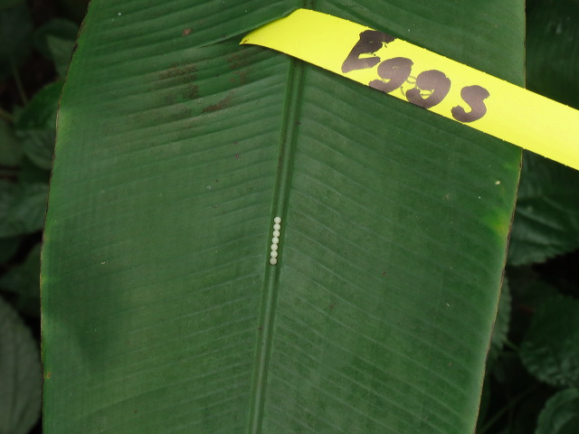img_2013_0862.jpg