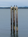img_2013_1000