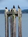 img_2013_1001