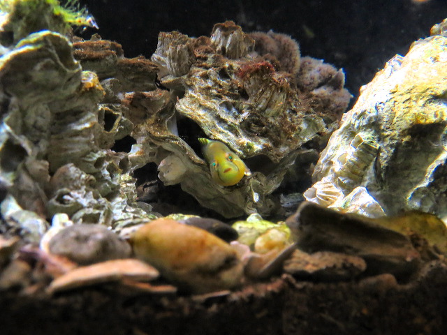 img_2013_0958.jpg